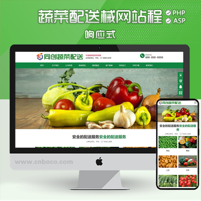 BY017-响应式蔬菜配送网站制作源码模板 ASP绿色果蔬配送网站源码模板程序