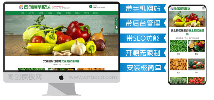 绿色果蔬配送网站源码模板程序-BY017-1